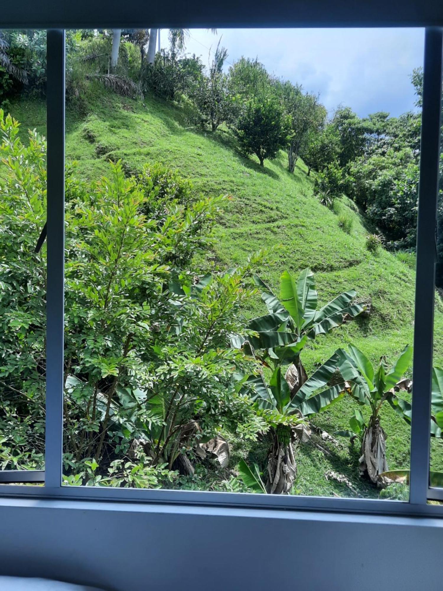 Pozo Azul Farm stay