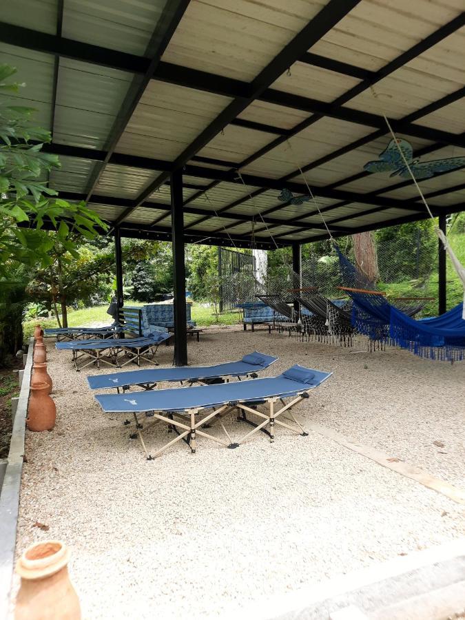 Farm stay Pozo Azul *